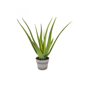Artificial Aloe Vera Plant in Pot 50cm Artificial Elegance