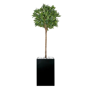 Tall Square Planter fitted with artificial Laurel Bay Tree Artificial Elegance