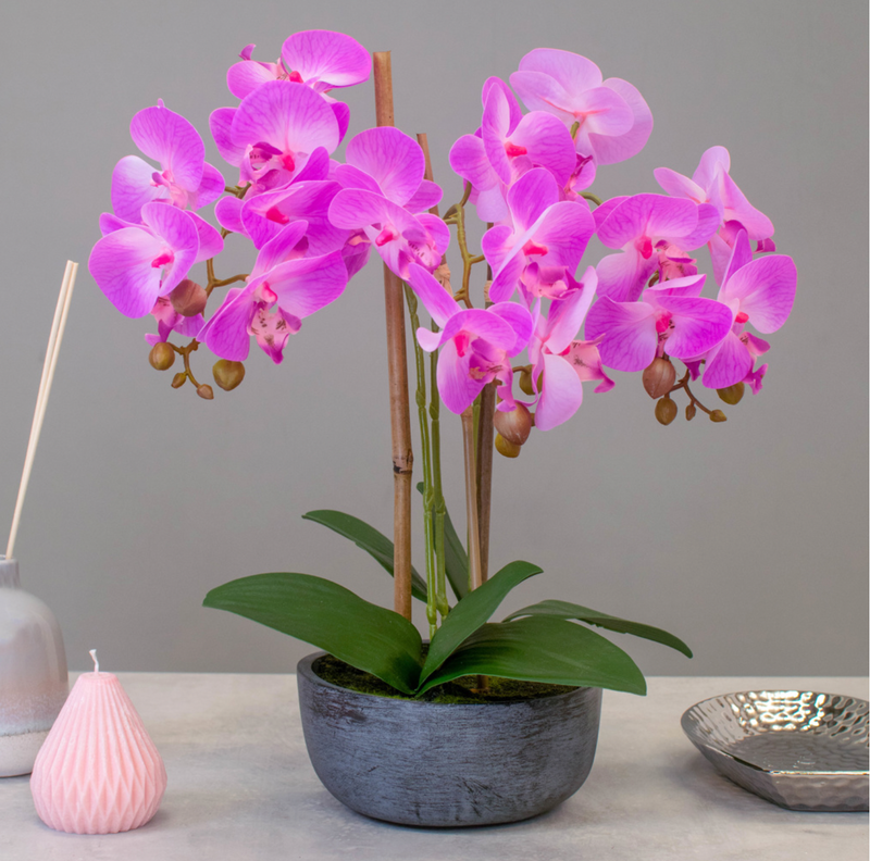 Artificial Phalaenopsis Orchid in Pink, In Pre-Potted bowl Artificial Elegance