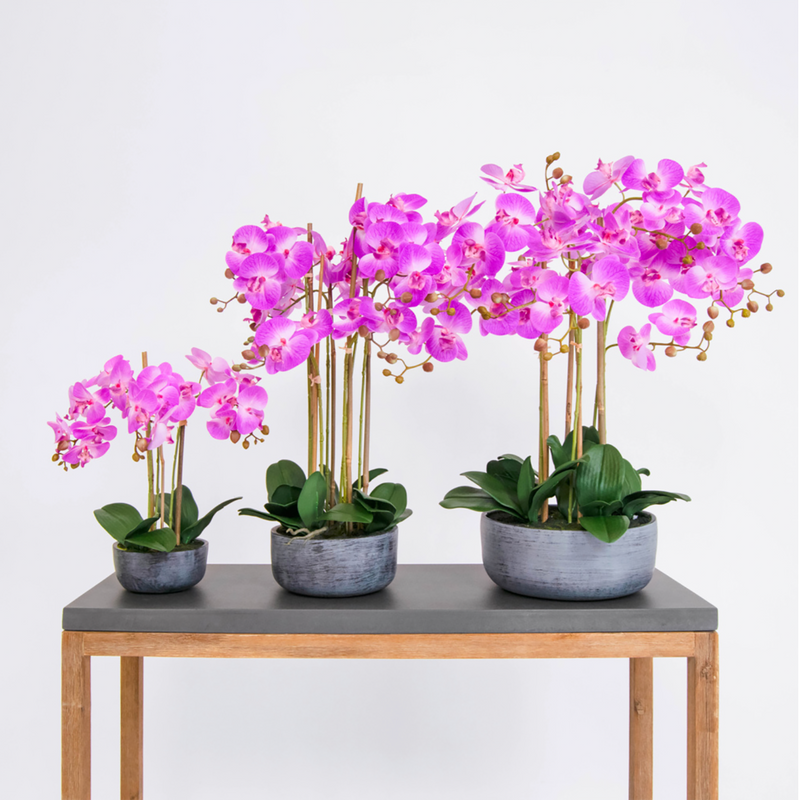 Artificial Phalaenopsis Orchid in Pink, in Pre-potted bowl Artificial Elegance