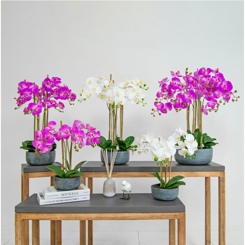 Artificial Phalaenopsis Orchids in White, in Pre-Potted bowl Artificial Elegance