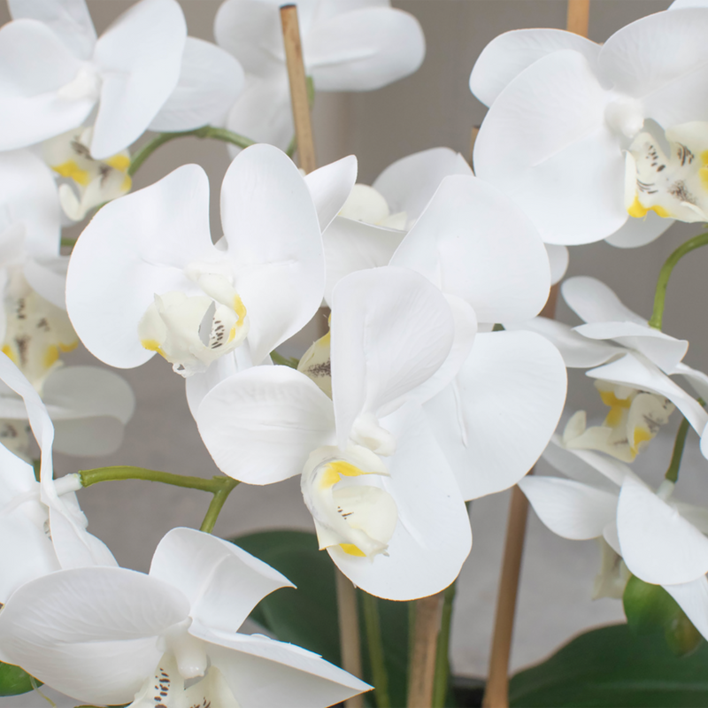 Artificial Phalaenopsis Orchid in white, Pre-potted in bowl Artificial Elegance